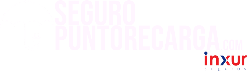 SeguroPuntoRecarga.com